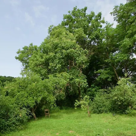 Amelia Dovolenkový dom Cechy