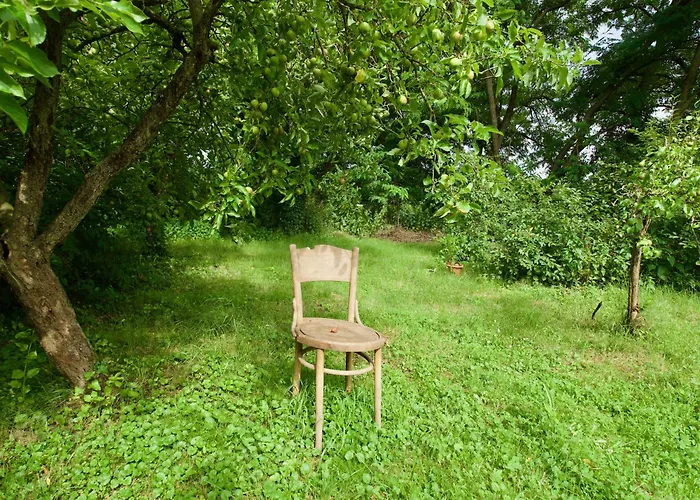 Amelia * Komáromcsehi